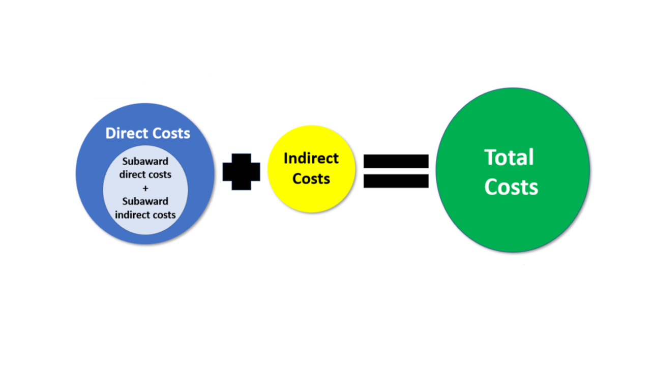 Graphic showing direct costs, which include subaward direct and subaward indirect costs, may be capped. The graphic also shows total costs, which includes direct and indirect costs, may also be capped.